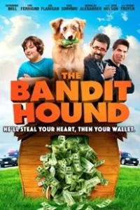 ดูหนัง The Bandit Hound (2016)